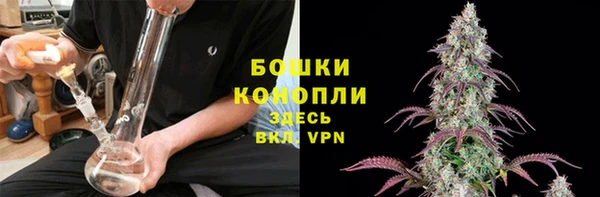 молекула духа Лихославль