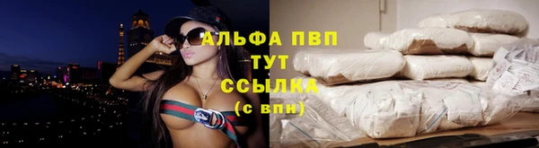 тгк Магадан