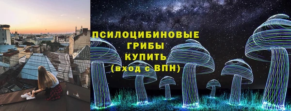 молекула духа Лихославль