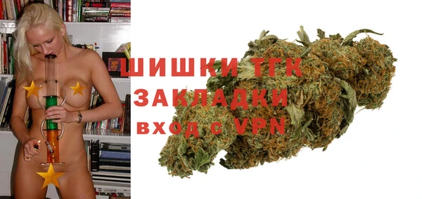 гидра Магас