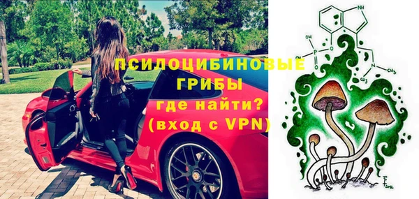 молекула духа Лихославль
