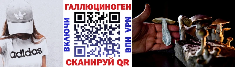 блэк спрут ТОР  Нерехта  Псилоцибиновые грибы Magic Shrooms 